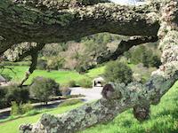 img_001_0151_24 Bovet pasture.jpg
