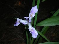DSCN3161.JPG