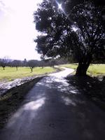 El Mirador Road.JPG