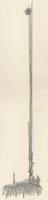 HER-BW-019d_TIF_MSTR.tif