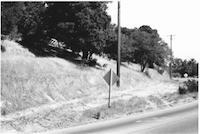ROA-047p_TIF_MSTR.tif