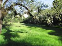img_001_0124_212  Mader meadow area.jpg