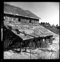BUI-085d_Hatfield barn leanto.jpg
