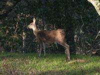 DSCN2600.JPG