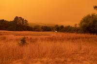 08Frog Pond and Windy Hill, Red Sky_DanQuinn.jpg