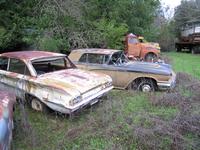 The Woods' car lot 13.JPG