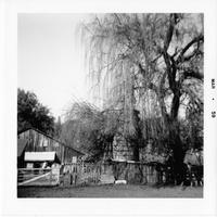 ALL-002c1p_TIF_MSTR.tif