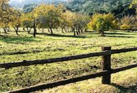 SUS-045d_TIF_MSTR.tif
