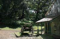 Old transportation at Skyline.jpg