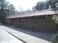 IMGP9225.JPG