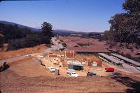 Sequoias - roof tops  July '65.jpg