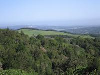 IMG_9164.JPG