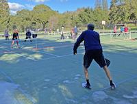 REC-036d Pickle Ball.jpg