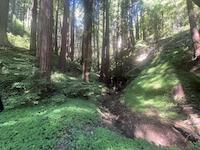 IMG_6919.jpg