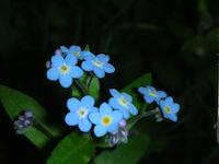 DSCN3102.JPG