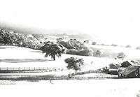 Portola Road Vista.tif