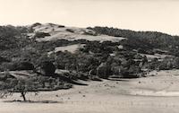 Bovet Ranch 1970 at Frog Pond to Windy Hill.jpg