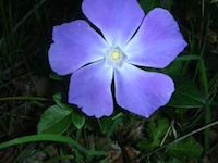 DSCN2974.JPG