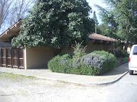 IMGP9196.JPG