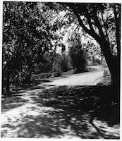 OLD-002p_TIF_MSTR.tif