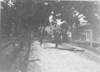 HOR-058p_TIF_MSTR.tif