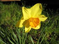 IMG_1231.JPG