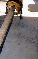 HOR-036p_TIF_MSTR.tif