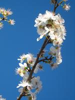 IMG_1243.JPG