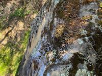looking down the blast shaft through a ceremonial grinding stone.jpeg