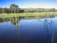 img_001_0250_72 Frog Pond view of Windy Hill2.jpg