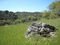 IMG_1400.JPG