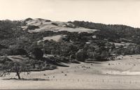 Frog pond Thjistle Windy Hill 1970.jpg