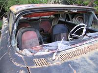 The Woods' car lot 5.JPG