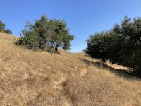 IMG_3612.jpg