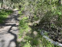 IMG_3456.jpg