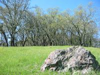 Deer Path trail rock 044.jpg