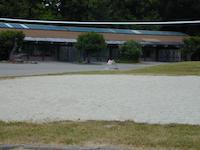 C11_Img.jpg