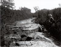 Alpine Road 1906.tif