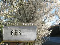 Jelich mailbox.JPG