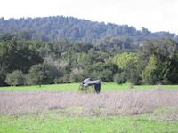 IMG_7881.JPG