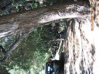 IMG_0455.JPG