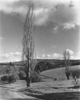 BUR-007p_TIF_MSTR.tif