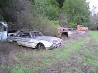 The Woods' car lot 17.JPG