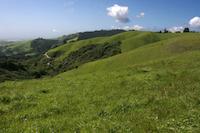 Wind Hill to south.jpg
