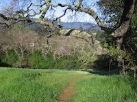 img_001_0271_94 Hawkview Canyon.jpg