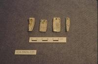 Abalone pendants(Filoli).TIF