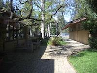 IMGP9088.JPG