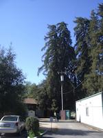 IMGP9061.JPG
