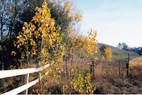 STA-017p_TIF_MSTR.tif