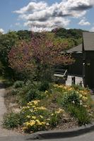 img_001_0137_225  Residence landscaping.jpg